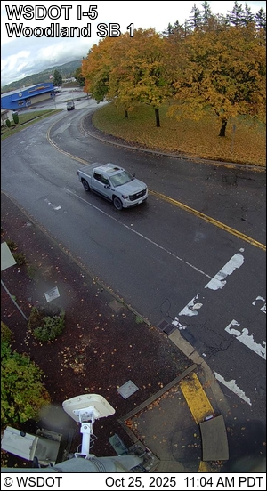 Cam 1